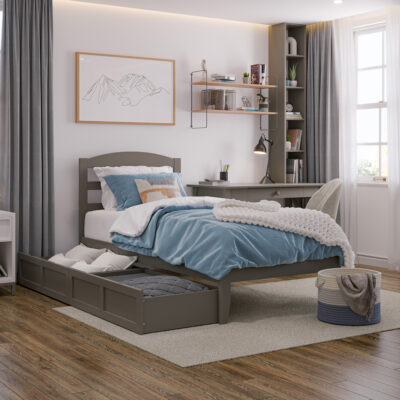 Warren Platform Bed with Set of 2 Storage Drawers